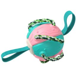 Creative Dog Interactive Frisbee Toy Pet Supplies Throwing Frisbee Outdoor Training Interactive Frisbee Football (Color: Pink Blue)