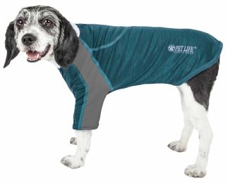 Pet Life Active 'Chewitt Wagassy' 4-Way Stretch Performance Long Sleeve Dog T-Shirt (Color: Teal, size: small)