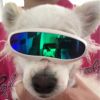 Pet Goggles Sunglasses Photography Props Pet Accessories